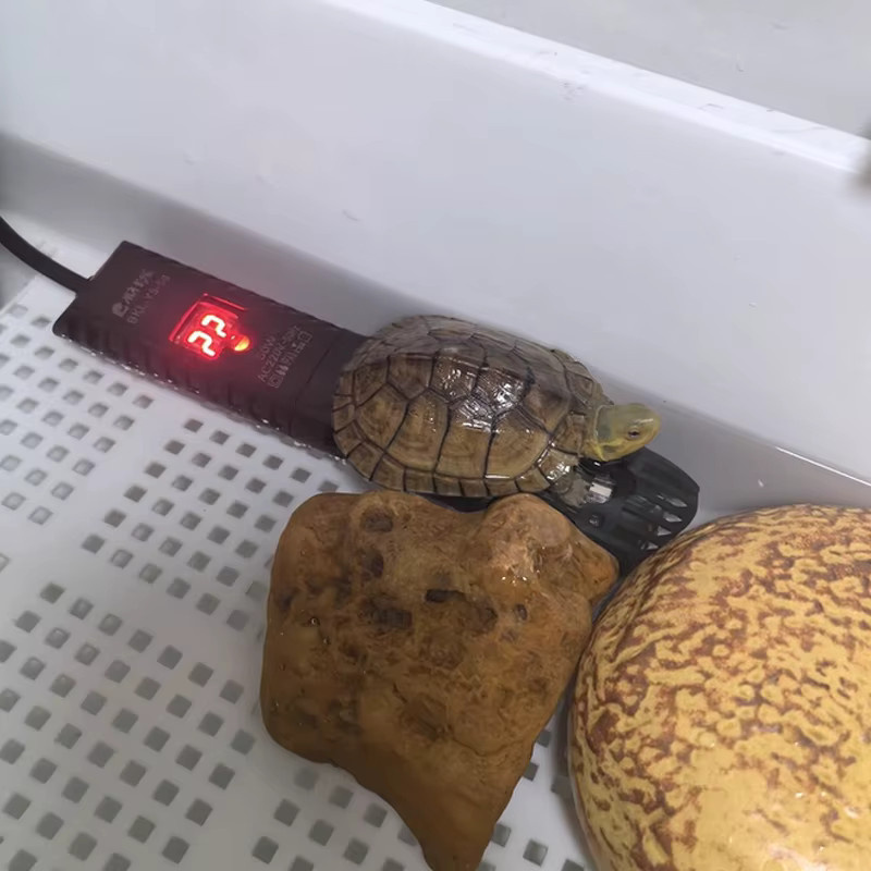 TUNFAN Aquarium Heizstab mit LCD Display und digitalem Thermostat in Schwarz - Bild 6