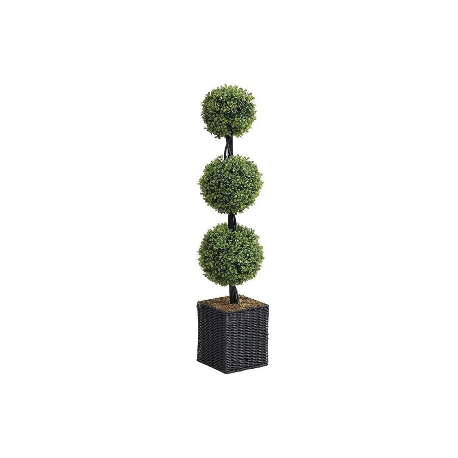 Vente-unique Kunstpflanze Pilana Grün, Höhe: 18 cm - Bild 2