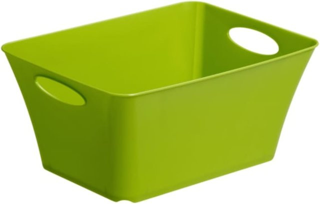 Rotho Living Korb-Organizer-Behälter Green, Volumen: 5 l - Bild 1
