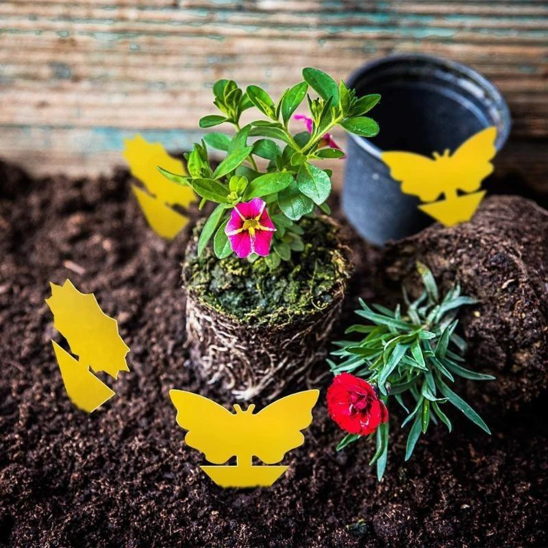Gelbe klebrige Insektenfallen von LIUXING zur Schädlingsbekämpfung für Gartenpflanzen, Zimmerpflanzen und Topfpflanzen, 10 Stück - Bild 4