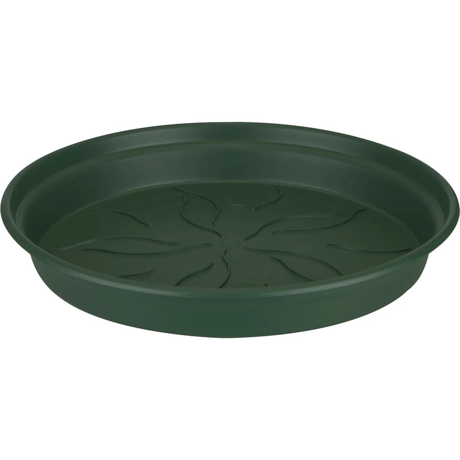 Elho Untersetzer Green Basics in Aubgrün Durchmesser: 34 cm - Bild 2