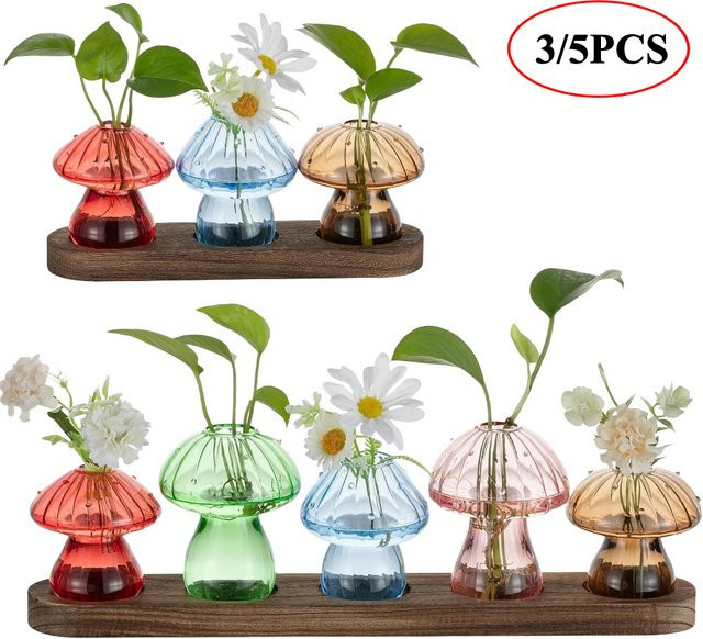 Glasseam Pilz-Pflanzenvermehrungsstation mit Glasvasen und Holzständer, hydroponisches Pflanzgefäß für Zuhause und Büro, transparent - Bild 1