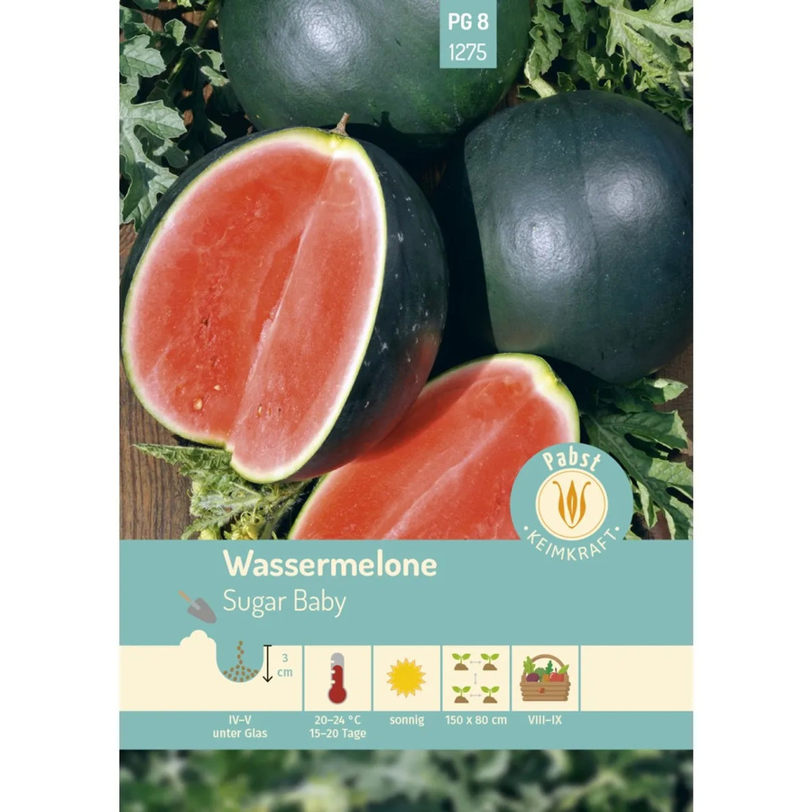 Pabst Keimkraft Wassermelone Sugar Baby Saatgut für Früh & Kleinfrüchtig - Bild 2