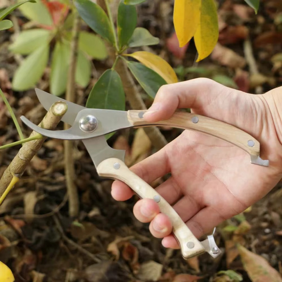 Skeyo Multifunktionale Gartenschere für Gartenarbeit, Obstpflücker und Bonsai-Pflege mit Anti-Slip-Griff - Bild 2