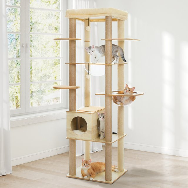PEQULTI Katzenbaum aus Holz in Beige mit 2 Acryl-Hängematten und Kratzpfosten im skandinavischen Design - Bild 1