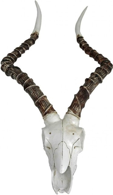 Deco Pleasure Impalakopf Wanddekoration Wandskulptur aus Polyresin, bunt/weiß, Höhe: 33,0 cm, Breite: 33,0 cm, Tiefe: 11,5 cm - Bild 1