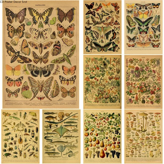 Potdemiel Vintage Botanisches Poster mit Schmetterlingen, Blumen und Pilzen aus Kraftpapier in Mehrfarbig - Bild 1