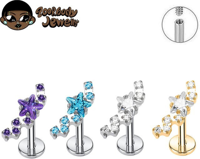 ZOORBODY JEWELRY Piercing Titan, Silber, Zirkonia, Unisex - Bild 1
