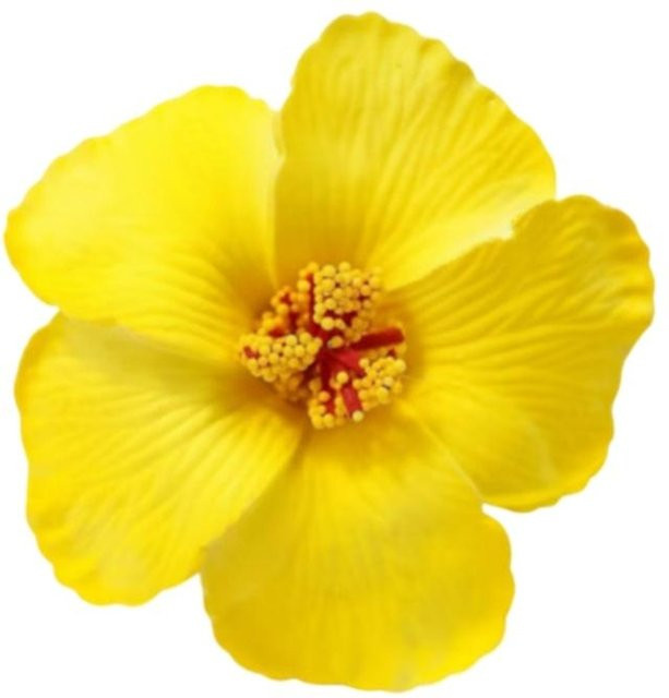Haarklammer Blume, gelb, Damen, Mädchen - Bild 1