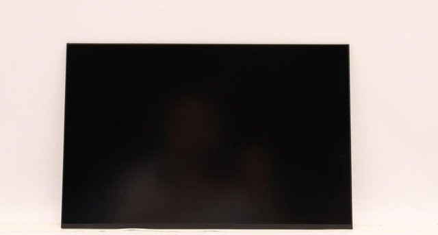 Lenovo Display FRU AUO 13.3 WUXGA IPS 300nit Schwarz (5D11D34360) - Bild 1