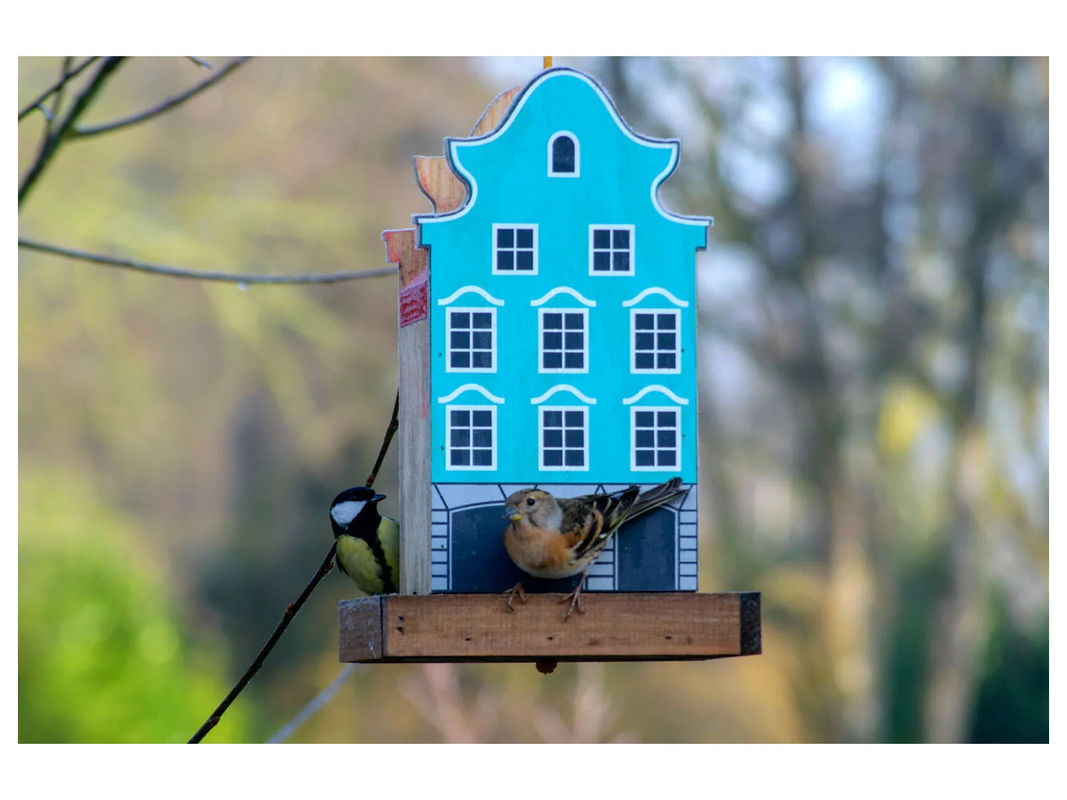 dobar Deko-Vogelhaus Münster aus Holz in Blau und Rot, Landhaus-Stil, B/T/H: 19 x 19 x 30 cm - Bild 4