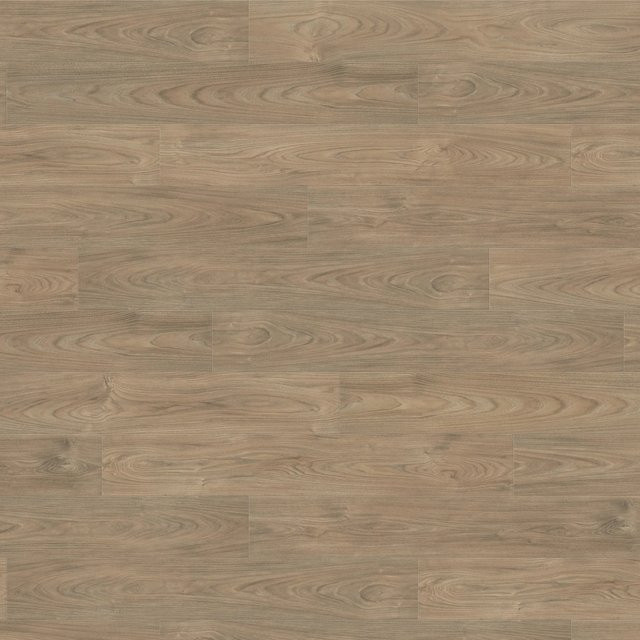 Haro Living by Haro Laminat Ulme Vario 8 mm in Weiß und Braun in Holzoptik - Bild 1