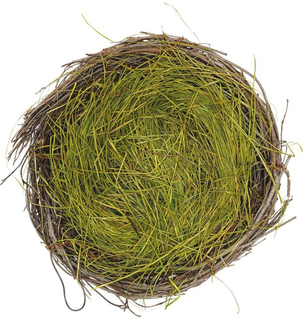 Rico Design Naturnest mit Ostergras in Braun-Grün, Höhe: 20 cm - Bild 1