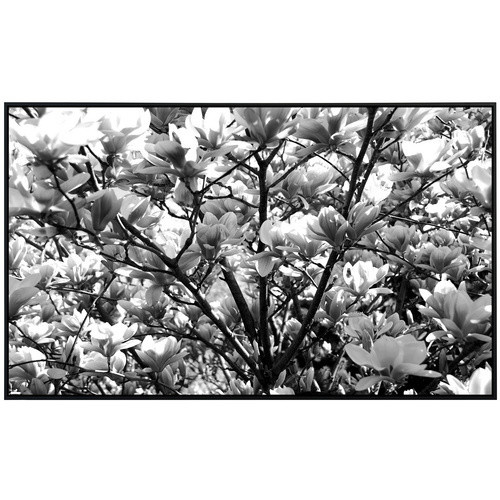 papermoon EcoHeat Infrarotheizung Blumen Schwarz Weiss Matt-Effekt mit App-Steuerung und Überhitzungsschutz - Bild 2