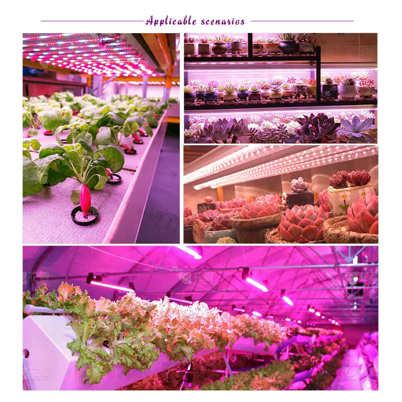 LED-Wachstumslicht mit vollem Spektrum als Pflanzenwachstumslichtleiste für Zimmerpflanzen, Blumensämlinge und Gewächshäuser, USB-Anschluss, Farbe: Weiß, Länge: 30 cm - Bild 6