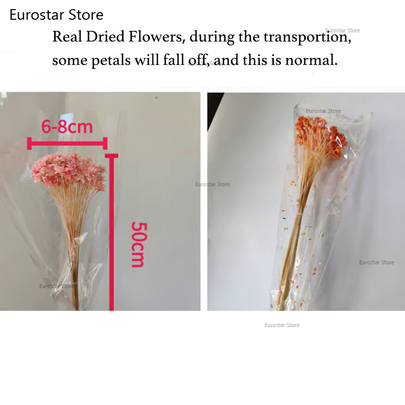 NUOYING Blumenstrauß aus echten getrockneten Gebirgsblumen, Multicolor, natürliche Tischdekoration für dein Zuhause - Bild 4
