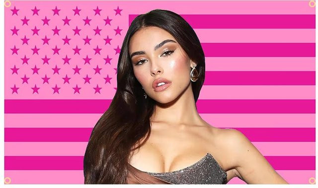 Madison Beer Rosa Amerikanische Flagge Wandteppich von JMG Household Supplies, Ästhetischer Wandbehang für Schlafzimmer und Bar, B/H: 40 x 60 cm - Bild 1