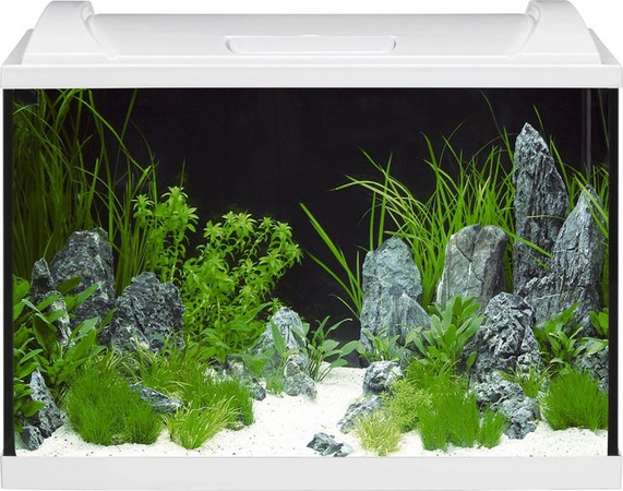 Eheim Aquapro LED 84 Aquarium-Set in Weiß