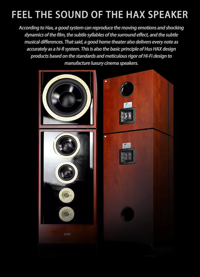 Fever HAX198 Fever Hifi Standlautsprecher 3-Wege 12 Zoll Split Passives Soundsystem - Bild 2