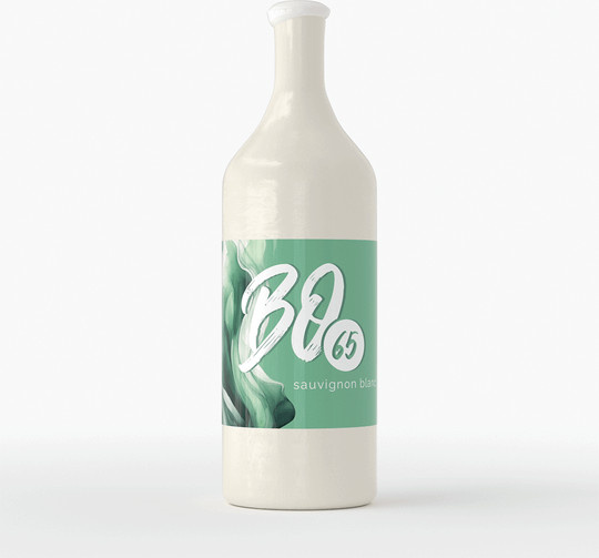 Bodega 65, Sauvignon Blanc, trocken, Weißwein, 0,75 l - Bild 1