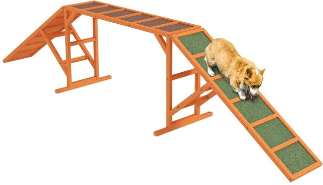 PawHut Hunde Agility Steg aus Tannenholz in Orange, B/T/H: 55 x 325 x 69 cm - Bild 1