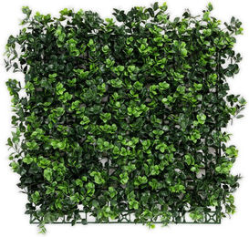 FLOORDIREKT Pflanzenwand Pachysandra grüne Kunstpflanzen zur Wandmontage, B/H: 50 x 50 cm - Bild 1