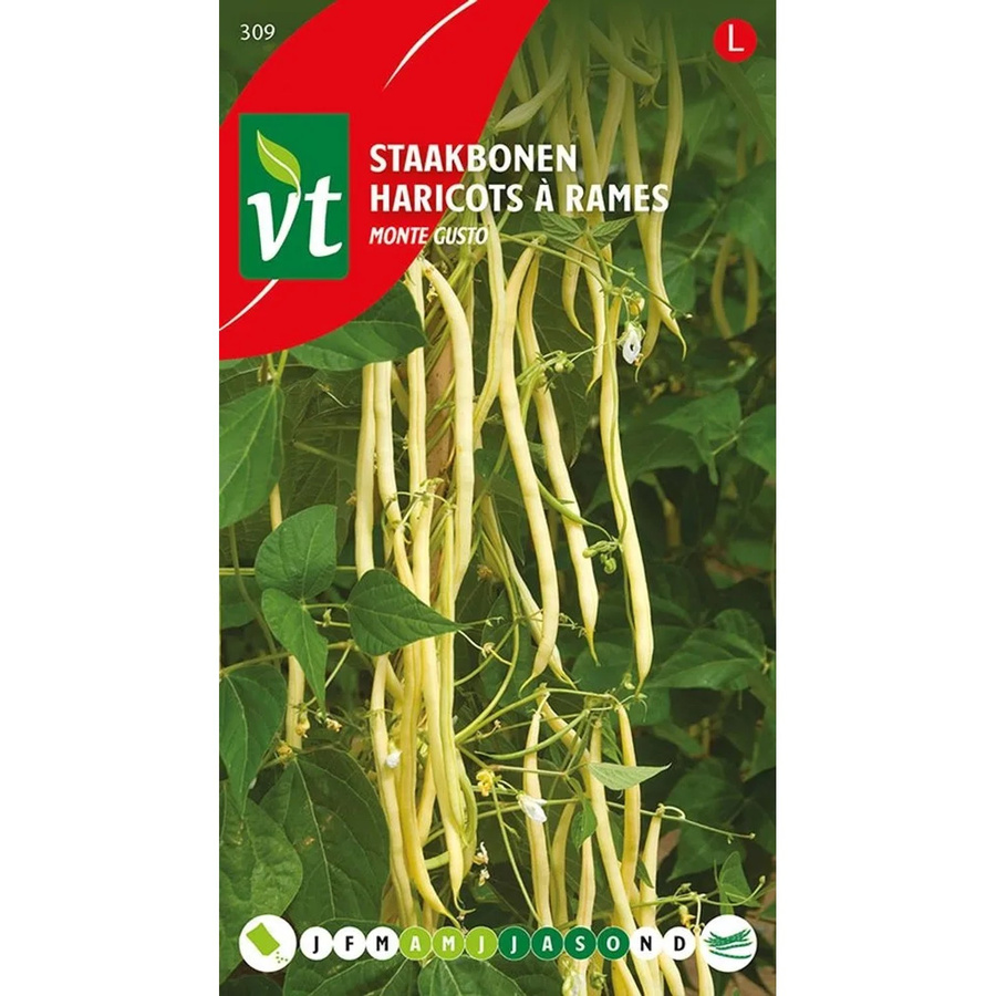 Monte Gusto Bohnen Samen von arborix, 25 g - Bild 2