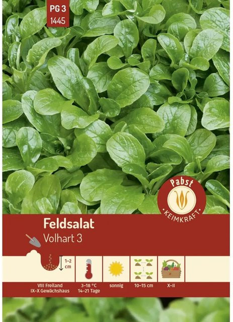 Pabst Keimkraft Feldsalat Saatgut Schnellwüchsig und Vollherzig Volhart 300 g - Bild 1