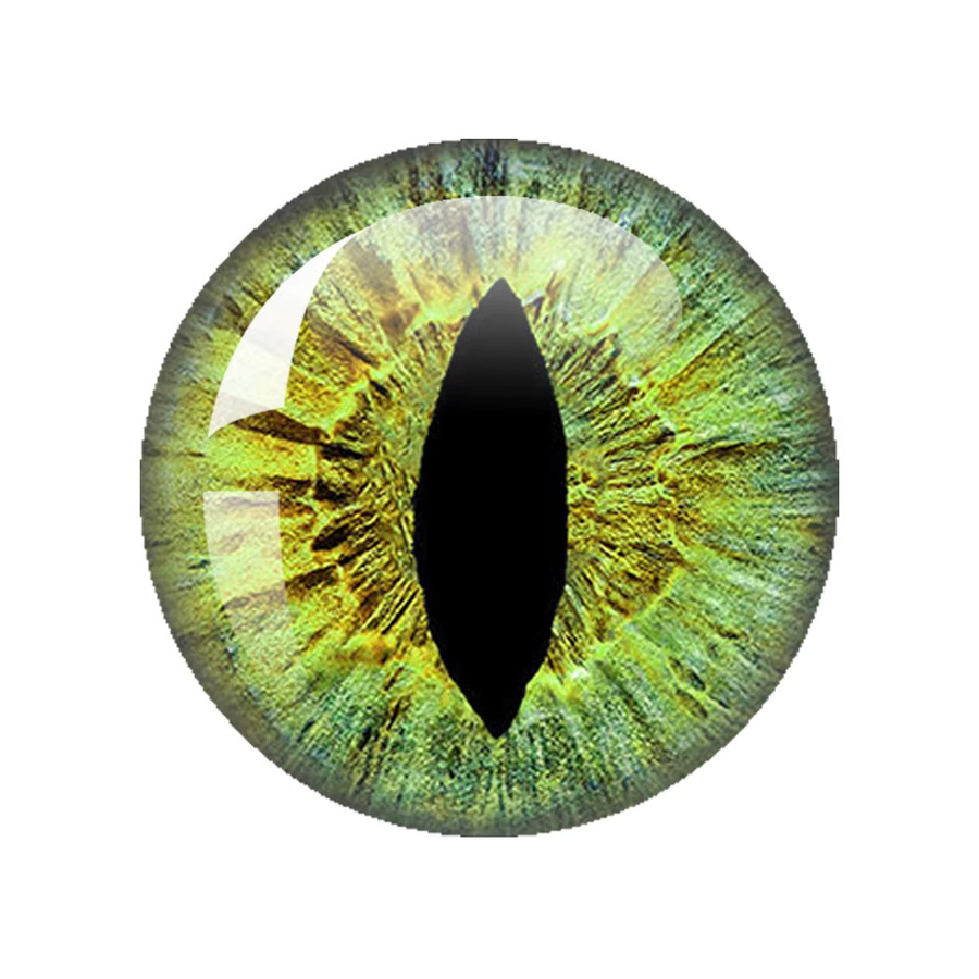 MSCHENGDORIS Glas Augen Cabochons, Bunt, Unisex - Bild 2