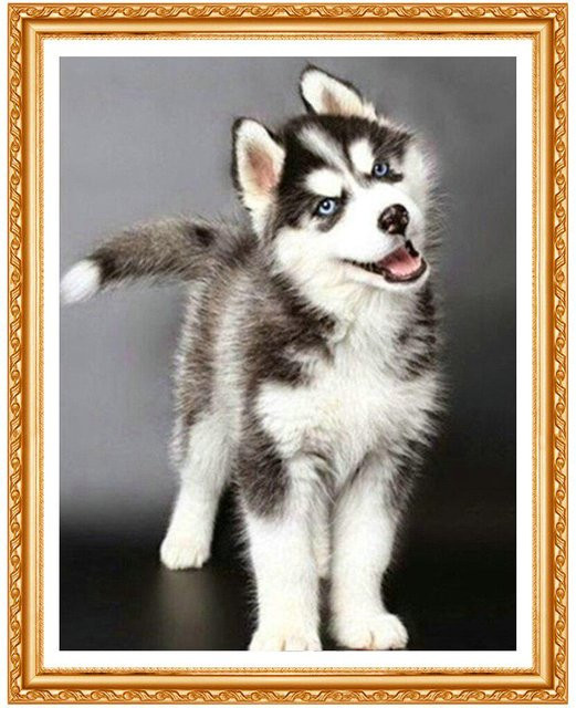 FIYO Diamant-Stickerei Set Husky Hund 5D Diamant-Gemälde in Grau, Breite: 30 cm, Höhe: 20 cm - Bild 1