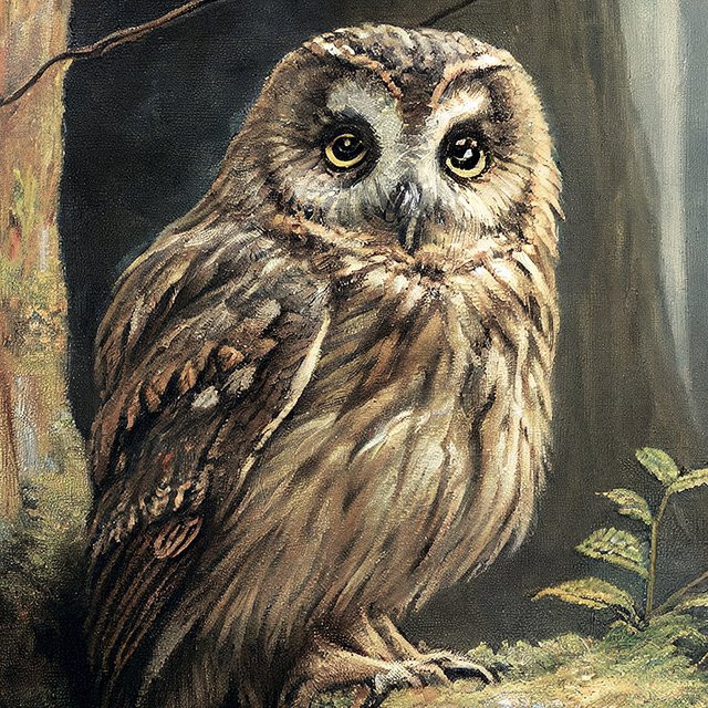 Potdemiel Leinwandposter Eulen-Antik-Ölgemälde mit botanischem Motiv in Schwarz für eine stimmungsvolle Wanddekoration - Bild 1