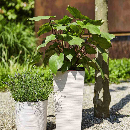Siena Garden Pflanzkübel Eco Nizza Weiß B/T/H: 25 x 25 x 46,5 cm - Bild 2
