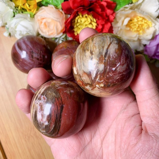 CrystalHola Natürliche versteinertes Holz-Kugel in Mehrfarben als Dekorationsobjekt - Bild 1