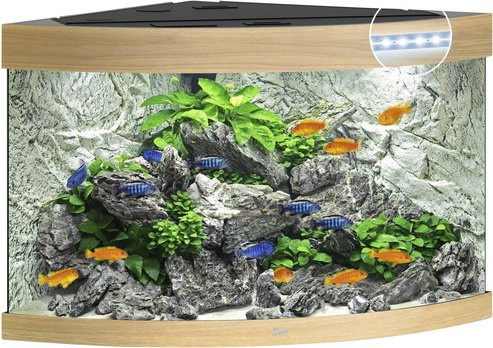 Juwel Aquarium Trigon 190 LED Aquarium in Braun mit Holzoptik - Bild 1