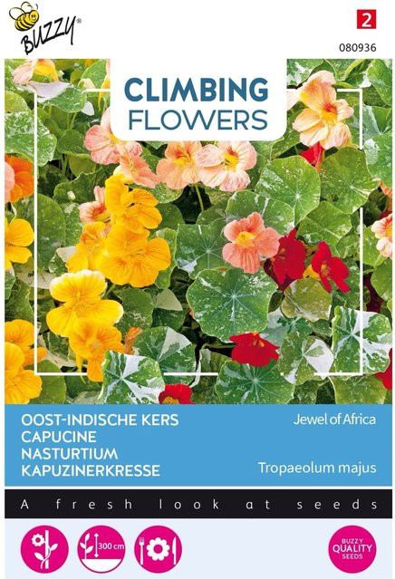 Arborix Kapuzinerkresse Jewel of Africa Buzzy Climbing Flowers Samen, exotische Kletterpflanze, 3 g - Bild 1