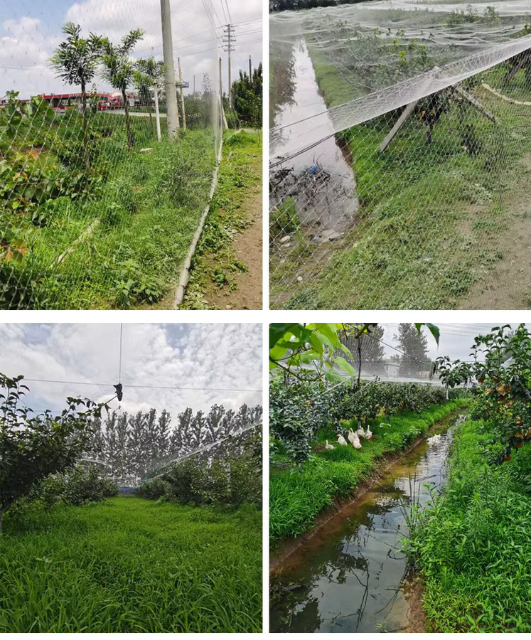 Robustes Anti-Vogel-Netz aus weißem Kunststoff als Hirsch- und Gartenschutznetz zum Schutz deiner Kulturen vor Vögeln, Hirschen, Katzen und Hunden - Bild 4