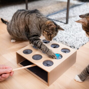 Canadian Cat Company Katzenspielzeug Fang die Maus - Bild 3