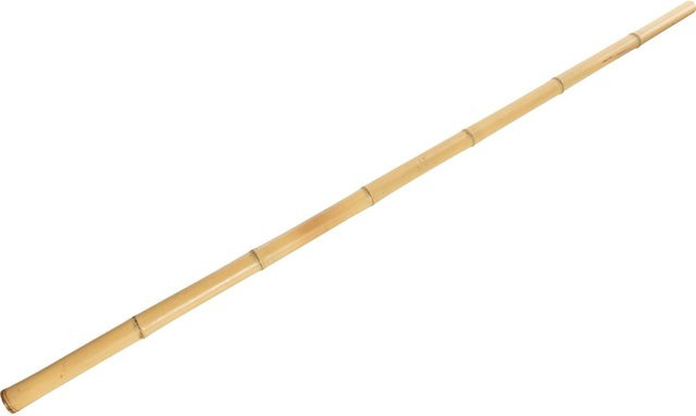 Bambusstab XL in Beige und Yellow zur Unterstützung von hochwachsenden Pflanzen und jungen Bäumen, Durchmesser: 5 cm, Höhe: 210 cm - Bild 1