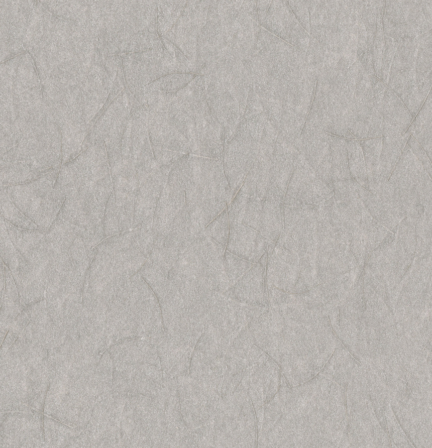 Omexco Tapete Shades of Pale SOP3103 Grau Abstract Non-Woven - Bild 1