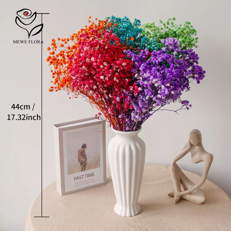 Getrockneter Gypsophila Baby Breath Blumenstrauß in Mehrfarbig für Boho Hochzeit und Dekoration - Bild 2