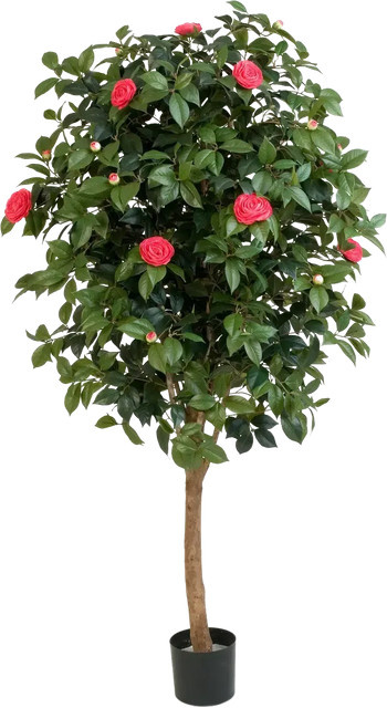 Künstlicher Kamelienbaum Philina von Aplanta, Höhe: 170 cm - Bild 1