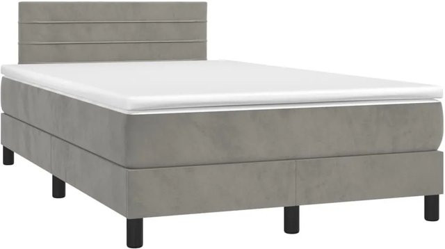 vidaXL Boxspringbett mit Matratze in Hellgrau und Weiß, Hybrid-Design aus Samt mit Taschenfederkern, B/T: 120 x 200 cm - Bild 1