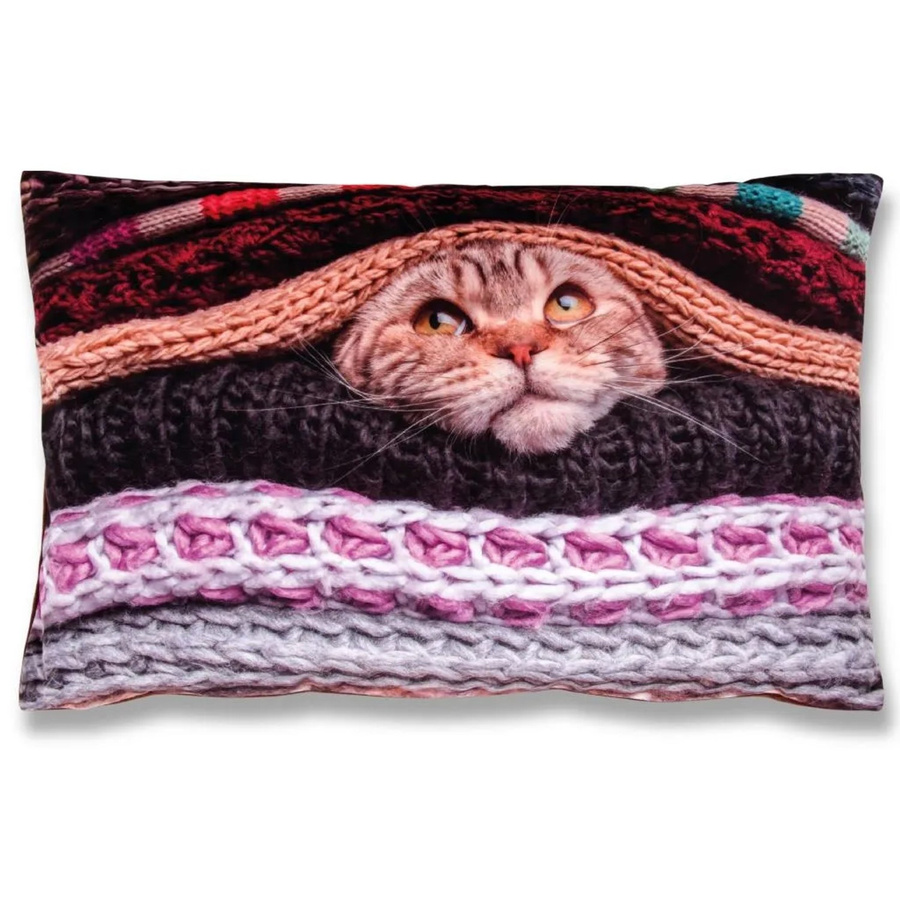 Bestlivings Kissenhüllen mit Katze Fotodruck, 2er Pack, Mehrfarbig, B: 60 cm, H: 40 cm - Bild 2