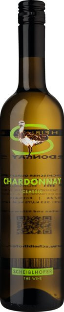 Scheiblhofer Chardonnay Weißwein, 2025, Burgenland, trocken, 0,75 l - Bild 1