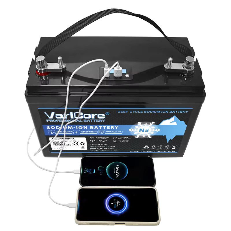 Varicore Natrium-Ionen-Akku 12V/15,6V 80Ah in Schwarz, kältebeständig für Elektroautos, Golfcarts und Off-Grid-Solaranlagen - Bild 7