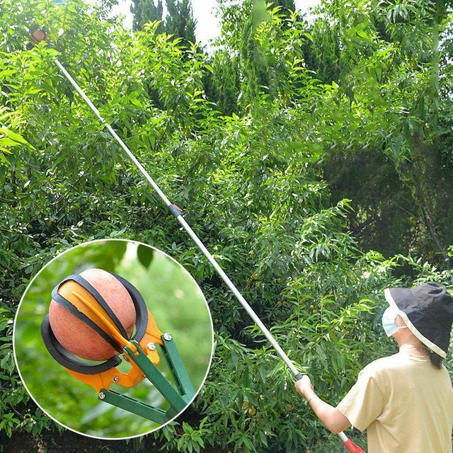 MYTEC Obstpflücker mit Verlängerungsgriff für hohe Bäume bis 5 m, Obstpflücker mit 3 Backen und Obstfänger für Äpfel, Orangen, Birnen und Pfirsiche - Bild 1