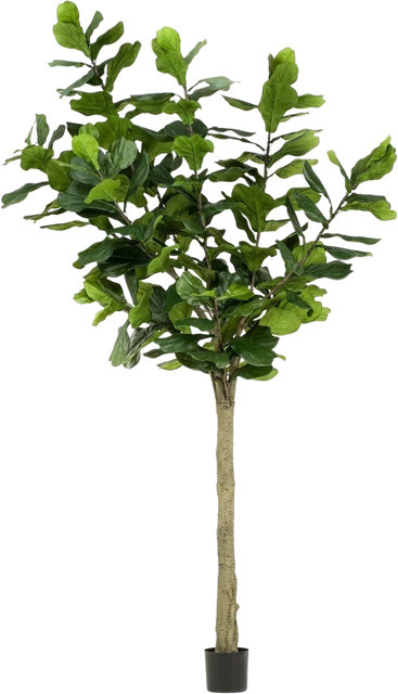 Künstlicher Ficus lyrata Sandra von Aplanta in Grün, Höhe: 300 cm - Bild 1