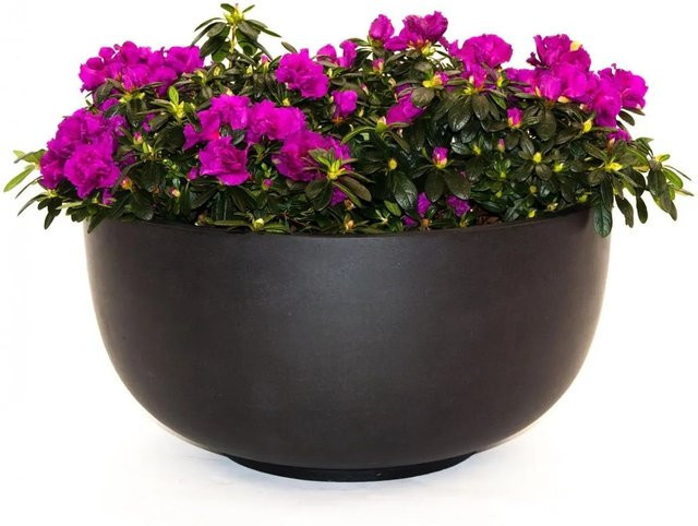 Runder Pflanzkübel aus Fiberglas von Elegant Einrichten in Schwarz Matt, Durchmesser: 70 cm, Höhe: 35 cm - Bild 1
