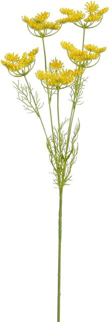 Mica Decorations Kunstpflanze Daucus Carota in Gelb, Höhe: 81 cm - Bild 1