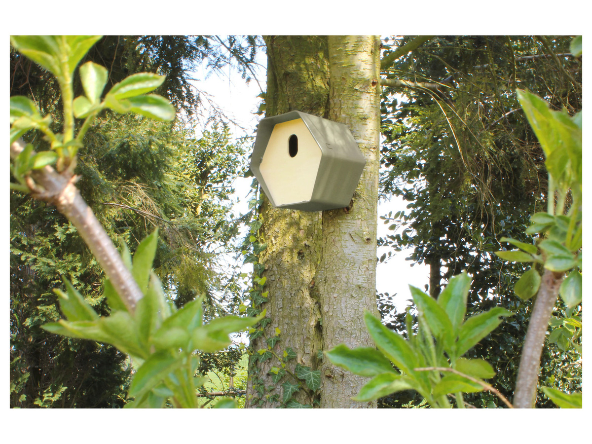 Vogelhäuschen CAPI EUROPE Hive 2 in Grün - Bild 2